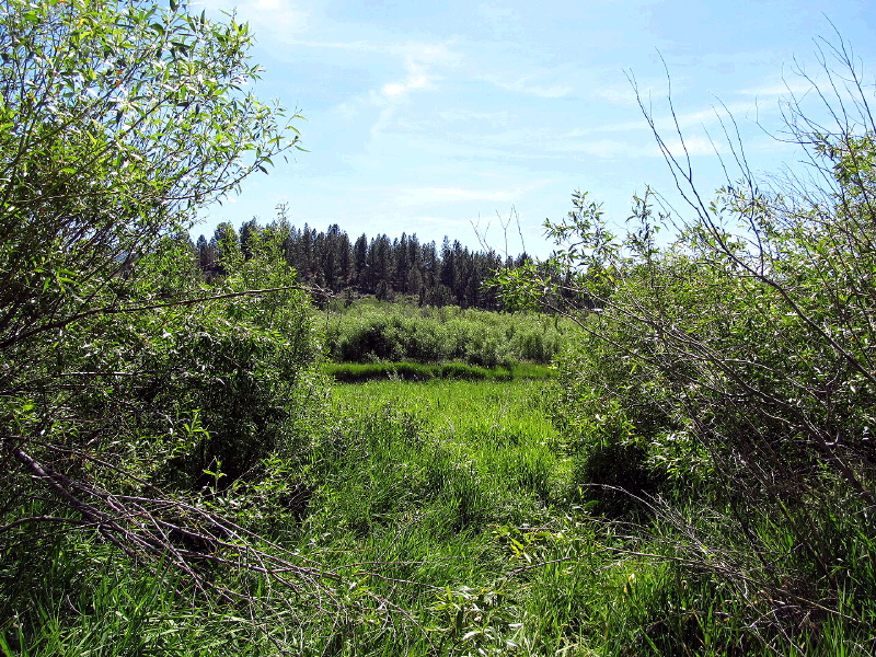 Lot 6 Sunburst Estates, Sprague River, OR 97624