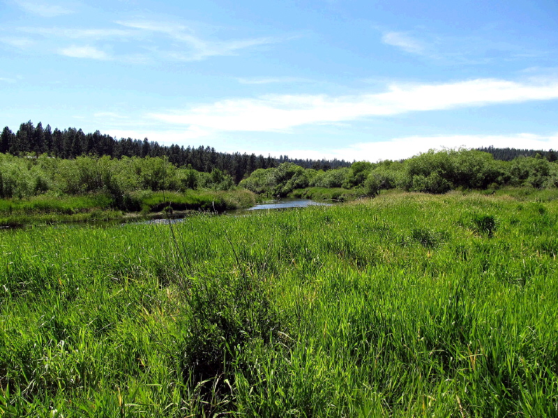 Lot 6 Sunburst Estates, Sprague River, OR 97624