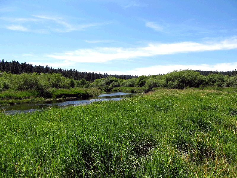 Lot 6 Sunburst Estates, Sprague River, OR 97624