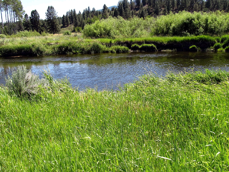Lot 6 Sunburst Estates, Sprague River, OR 97624