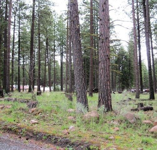 17006 Freight Road Lane, Keno, OR 97627