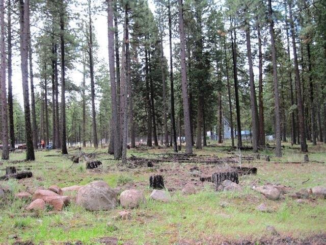 17006 Freight Road Lane, Keno, OR 97627