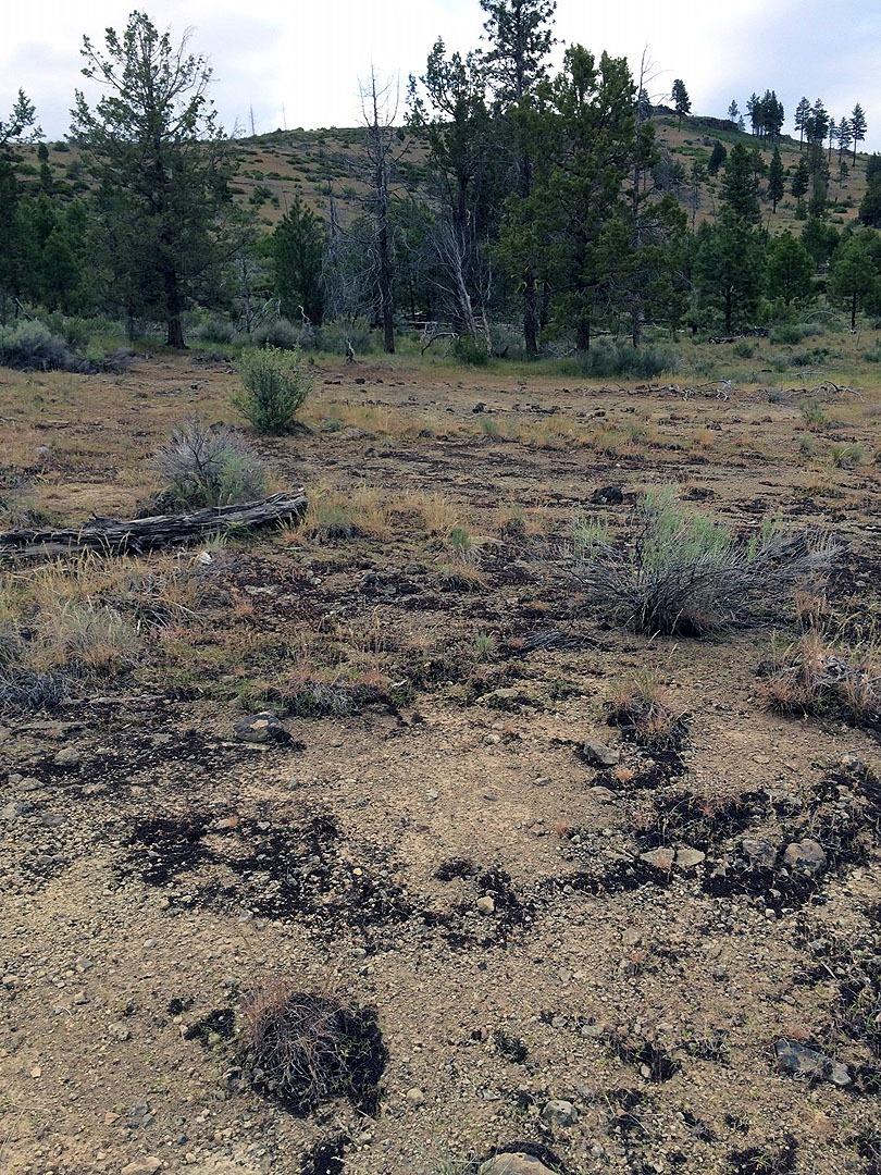 0-lOT 4 Timberline Drive, Sprague River, OR 97639