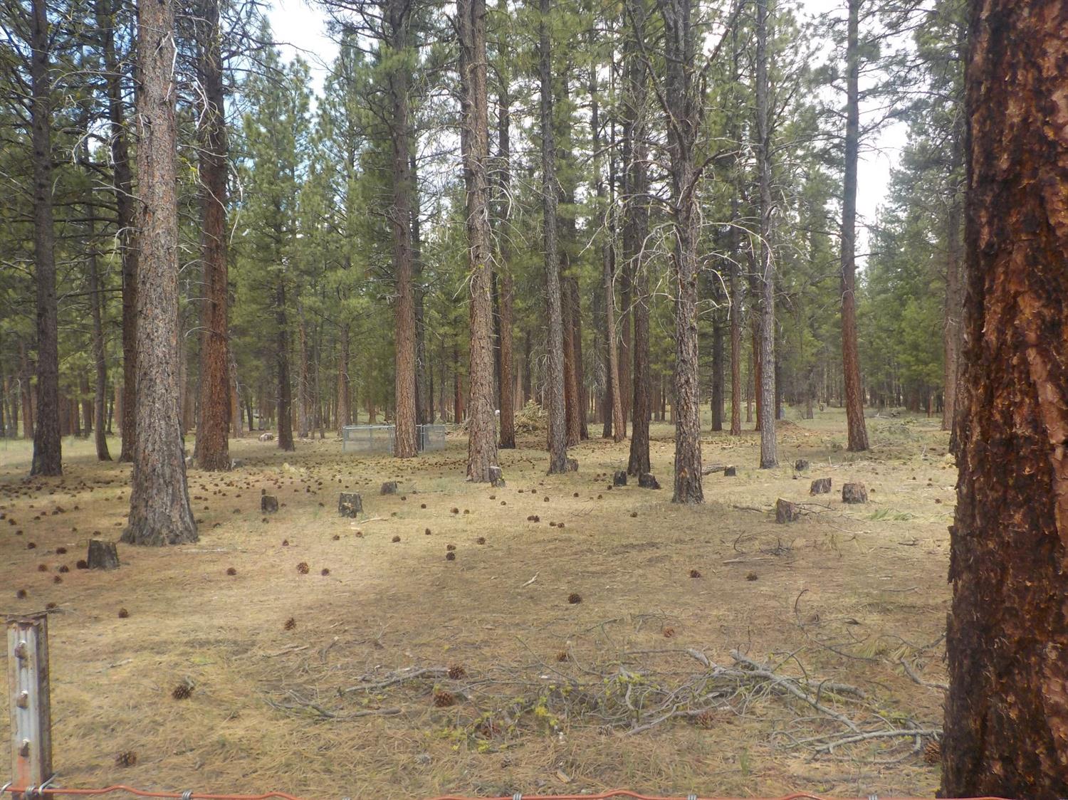 0 Tomahawk Lane, Sprague River, OR 97639