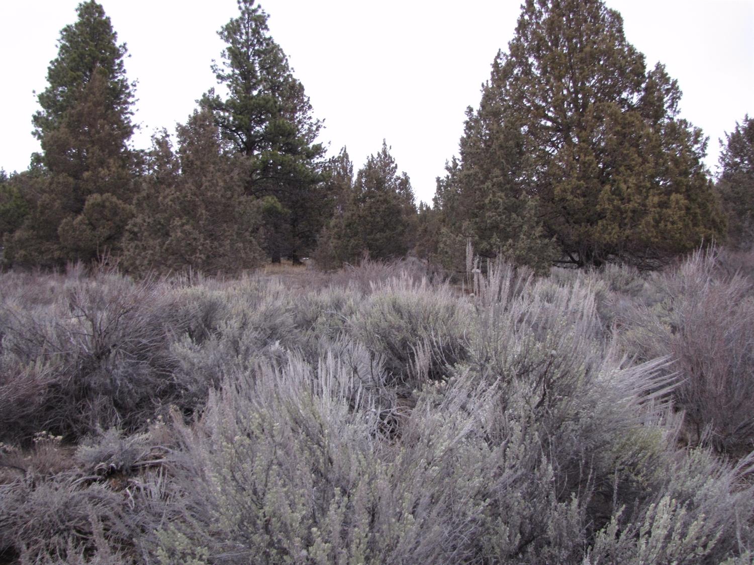 0 LOT 5 DREWS RD, Sprague River, OR 97639