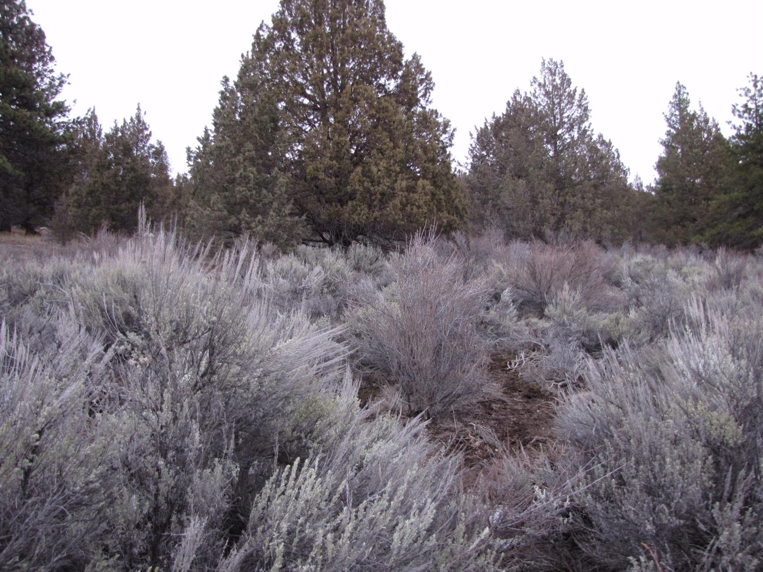 0 LOT 5 DREWS RD, Sprague River, OR 97639