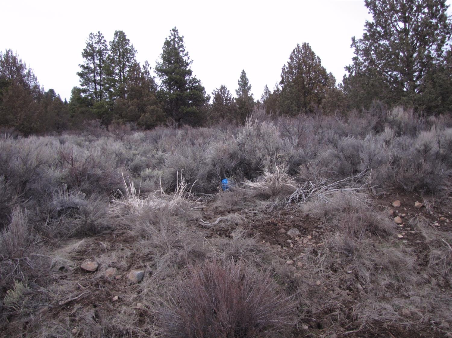 0 LOT 5 DREWS RD, Sprague River, OR 97639
