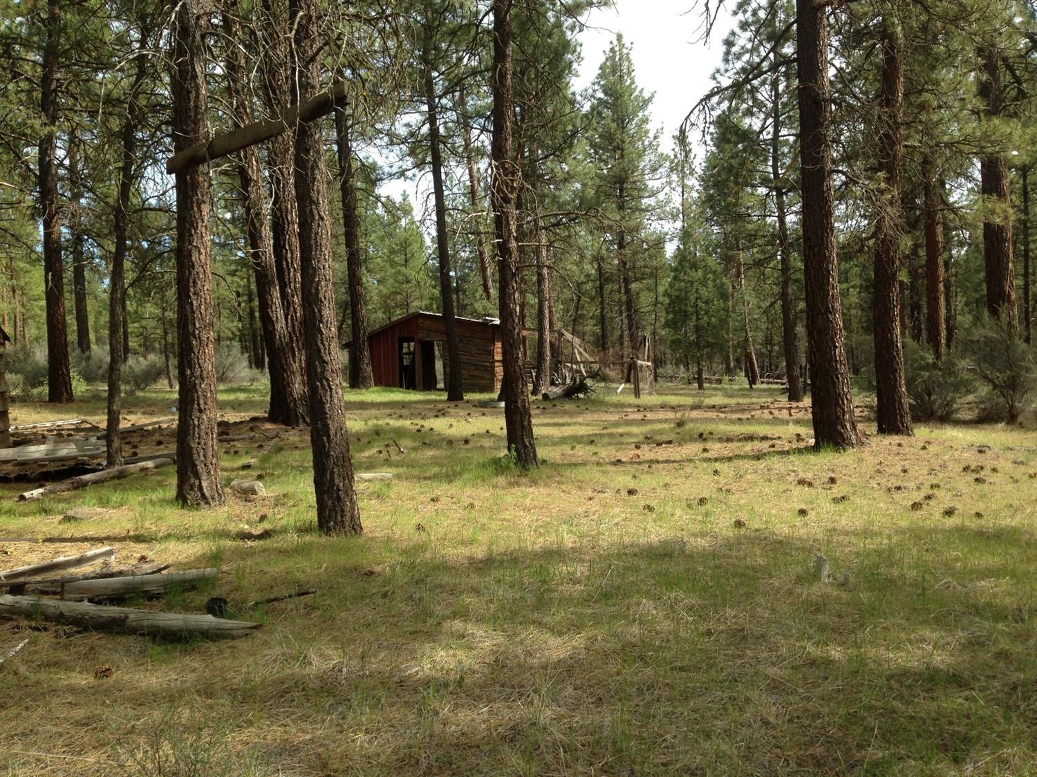 0 Ruffed Grouse Lot 19 Lane, Sprague River, OR 97639