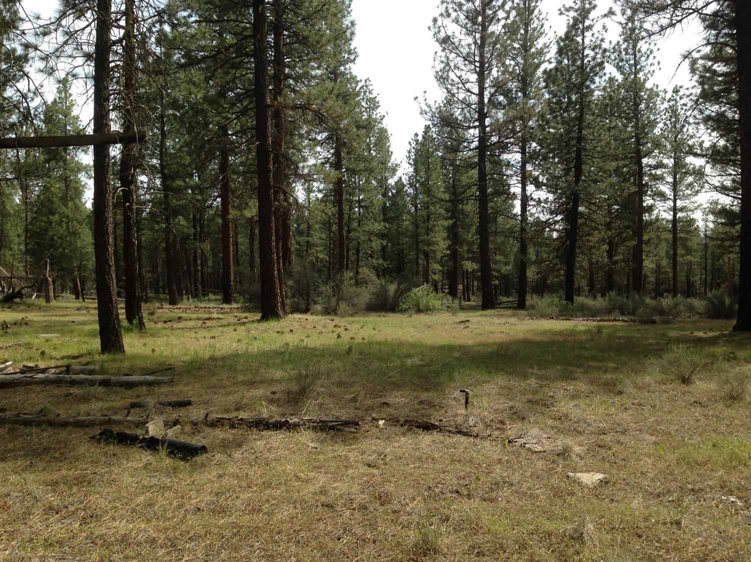 0 Ruffed Grouse Lot 19 Lane, Sprague River, OR 97639