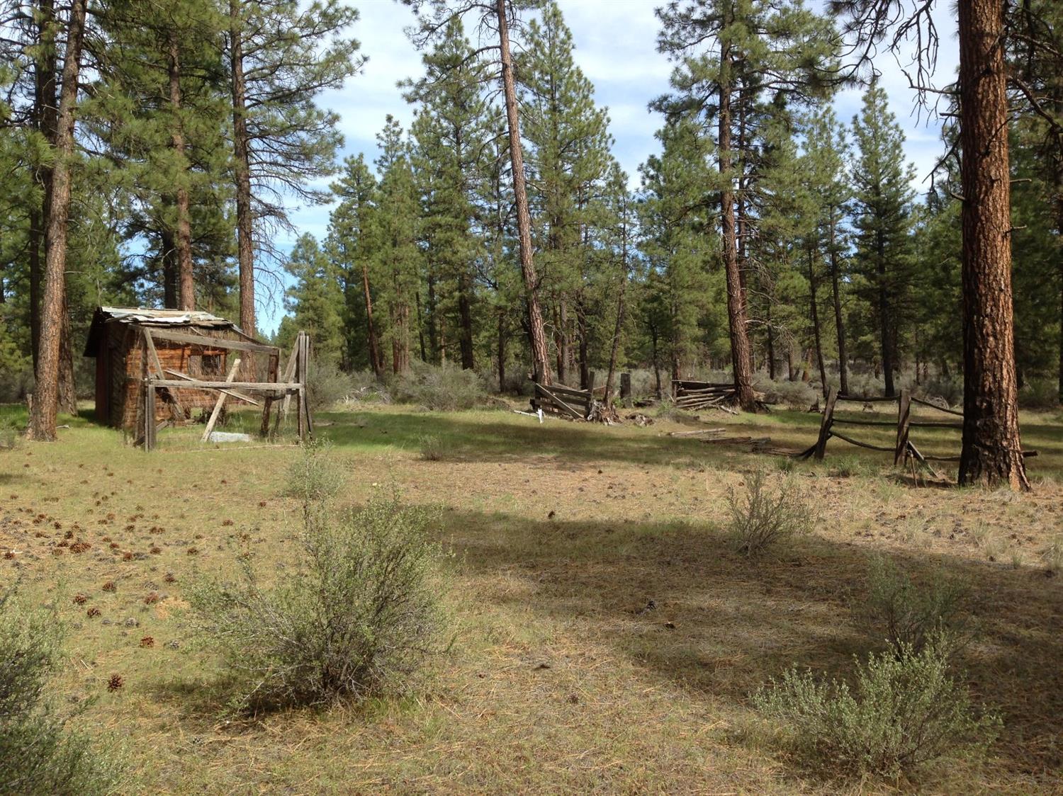 0 Ruffed Grouse Lot 19 Lane, Sprague River, OR 97639