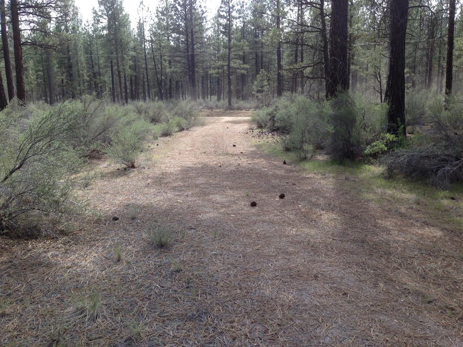 0 Ruffed Grouse Lot 19 Lane, Sprague River, OR 97639