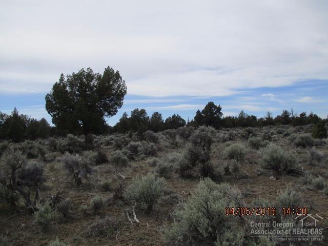 3903-TL:T26SR16E, Christmas Valley, OR 97641