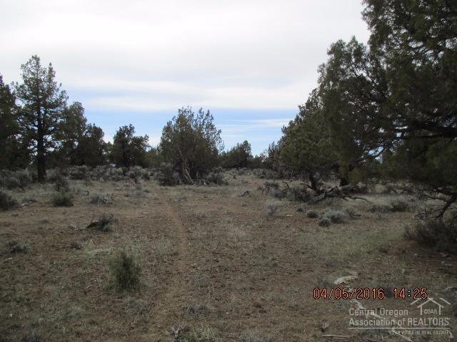 3903-TL:T26SR16E, Christmas Valley, OR 97641