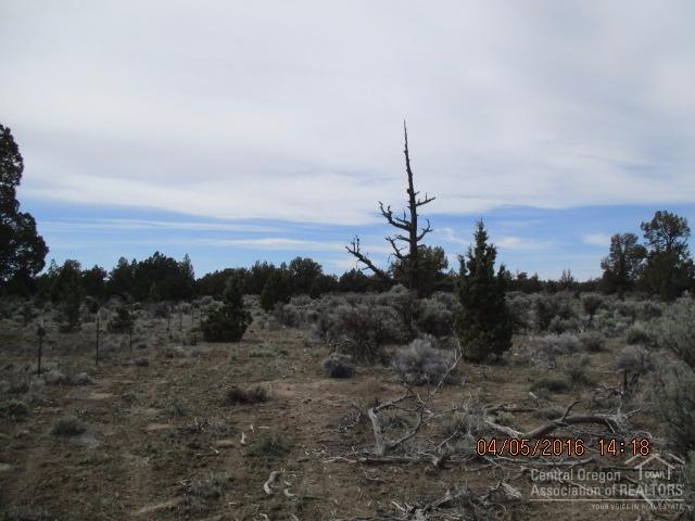 3903-TL:T26SR16E, Christmas Valley, OR 97641