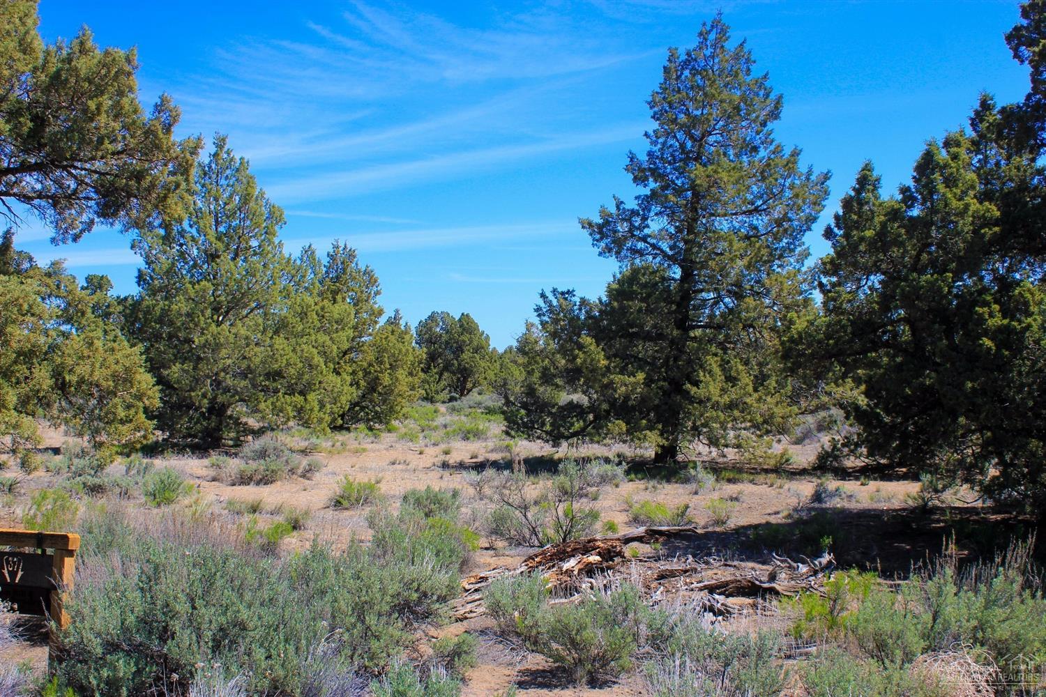 65750-Lot 37 Northeast Pronghorn Estates Drive, Bend, OR 97701