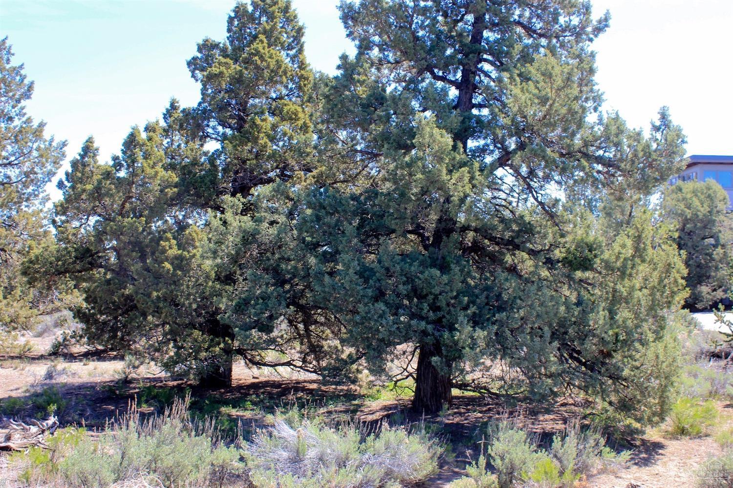 65750-Lot 37 Northeast Pronghorn Estates Drive, Bend, OR 97701