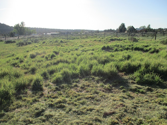 65202 97th StBend, OR, 97703Deschutes County