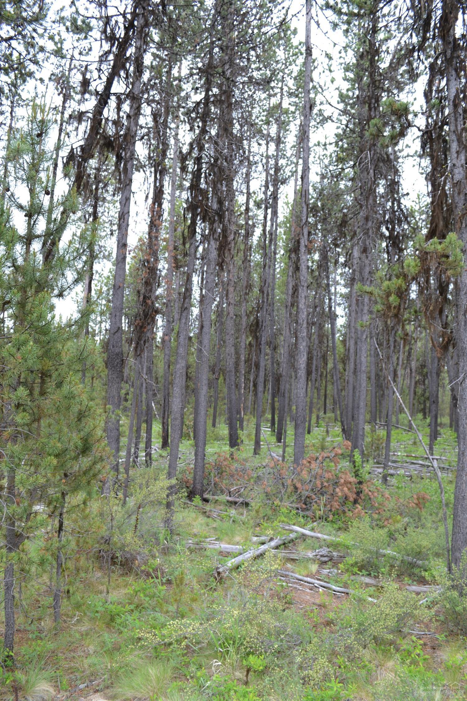 17137Glendale, Bend, OR 97707