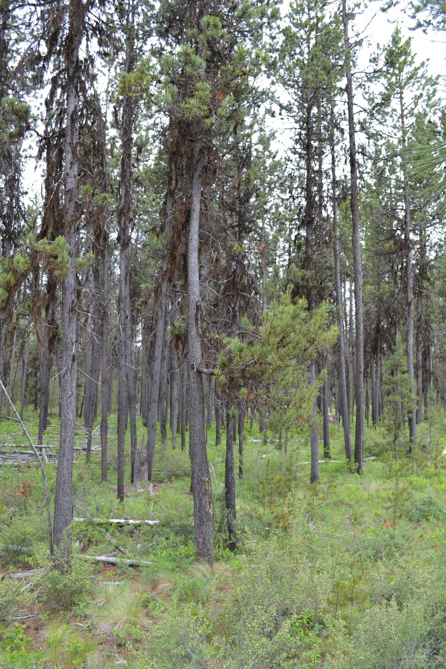 17137Glendale, Bend, OR 97707