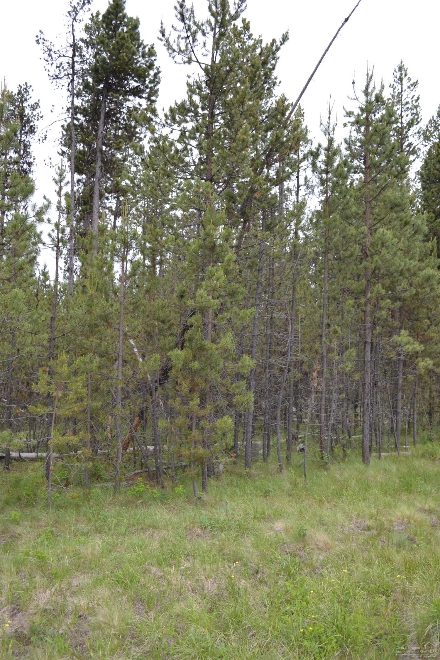 17145Glendale, Bend, OR 97707