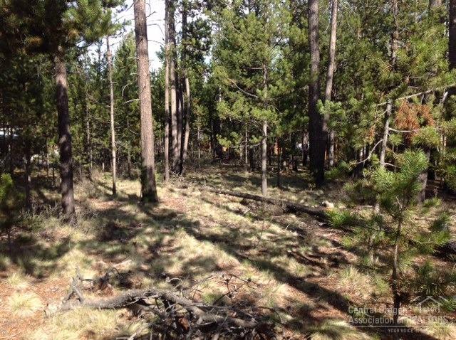 56264Black Duck, Bend, OR 97707