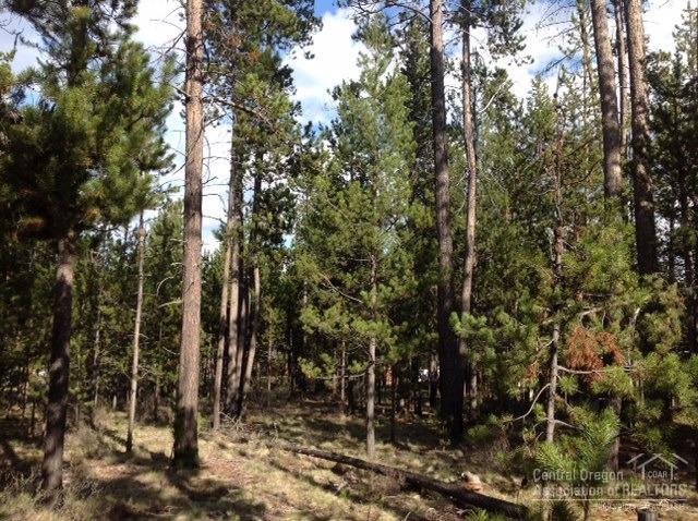 56264Black Duck, Bend, OR 97707