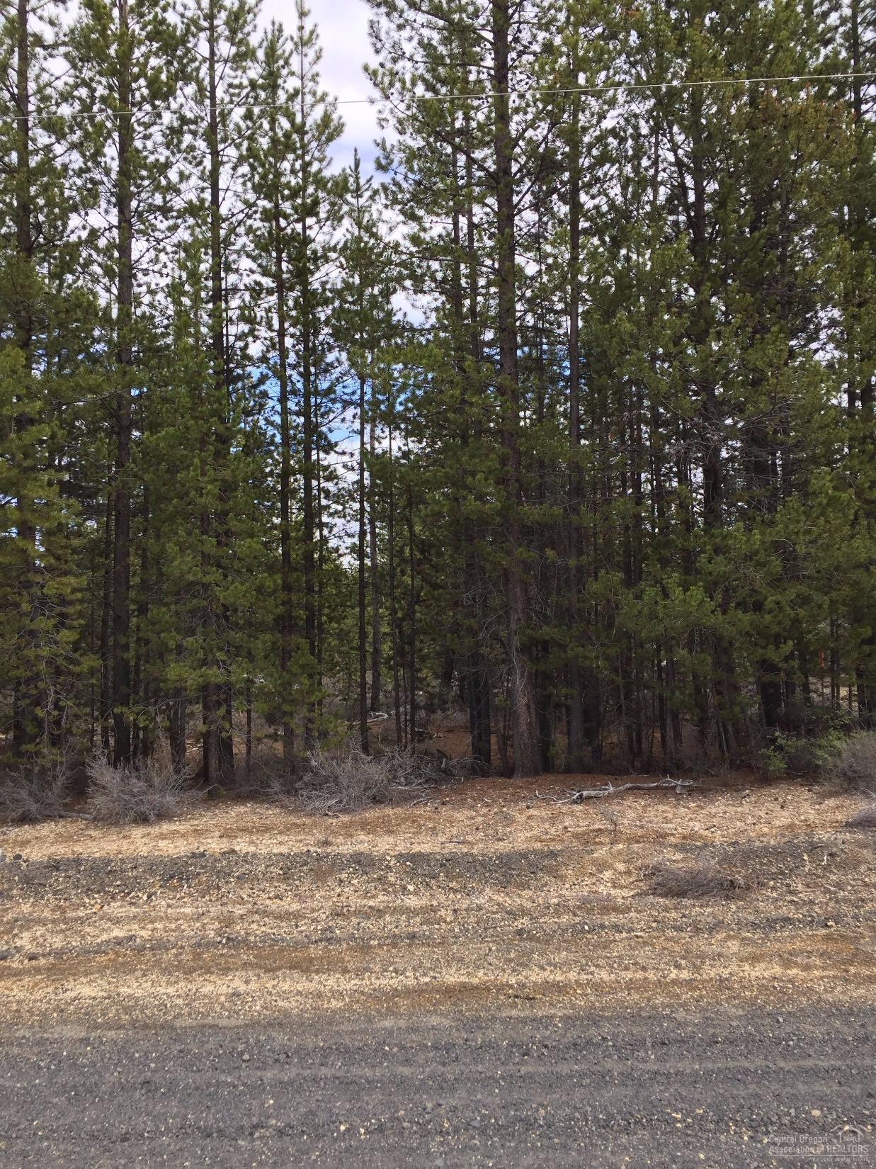 0Bear Flat Rd., Chemult, OR 97731