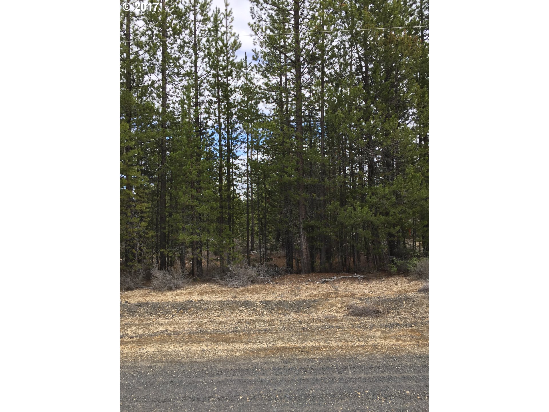 Bear Flat Rd., Chemult, OR 97731