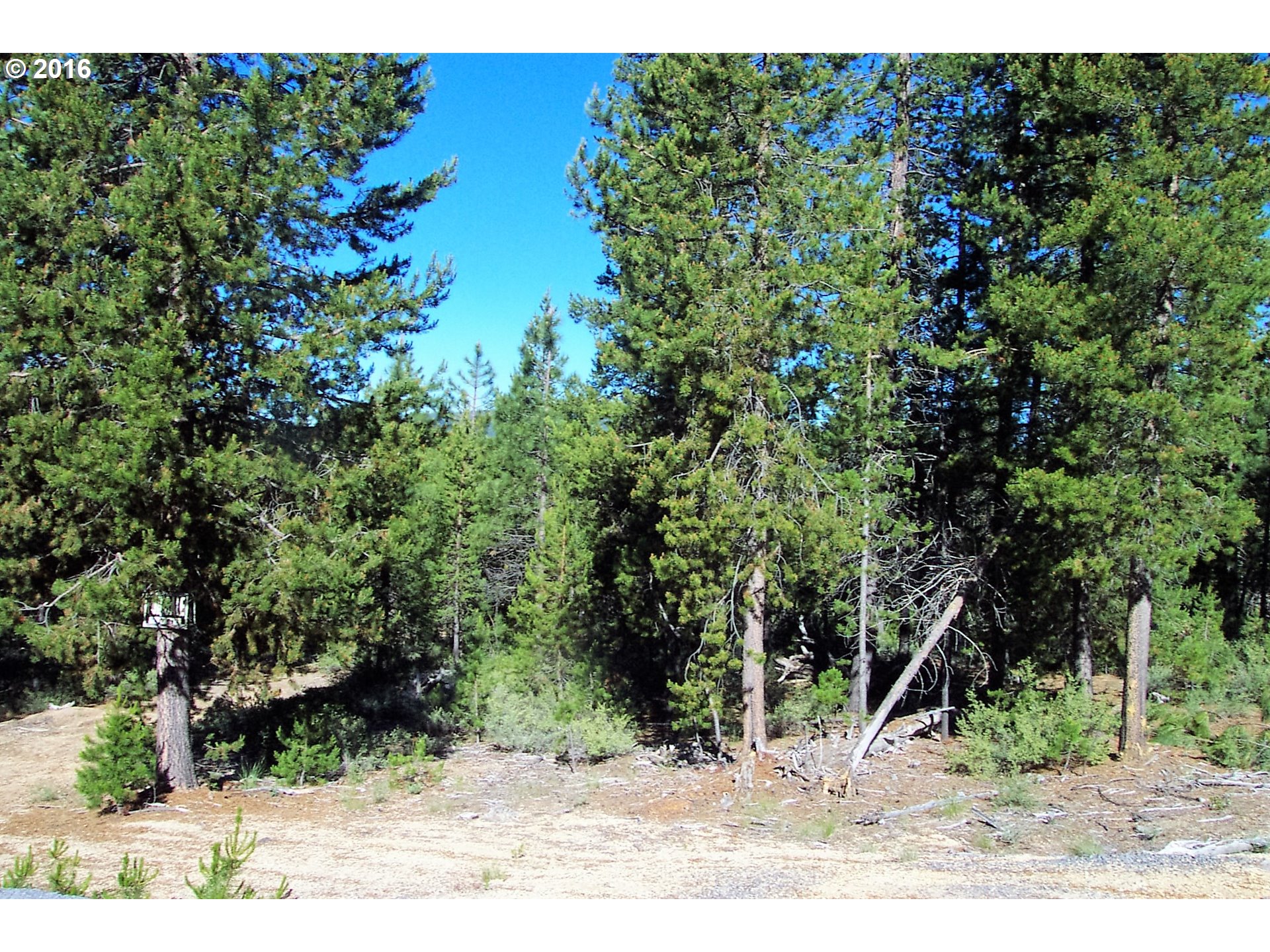 24 Crescent Moon, Crescent Lake, OR 97733