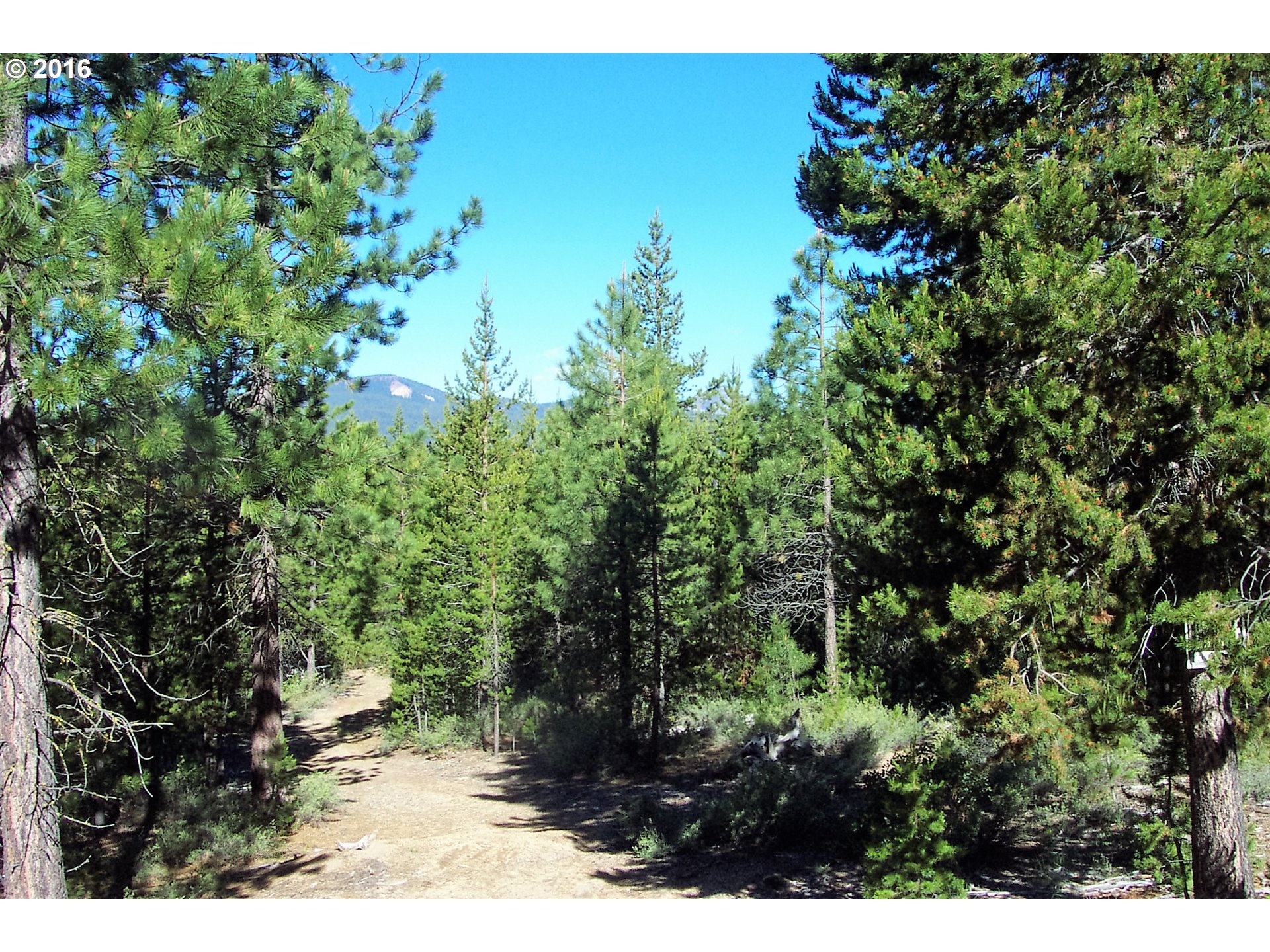 24 Crescent Moon, Crescent Lake, OR 97733