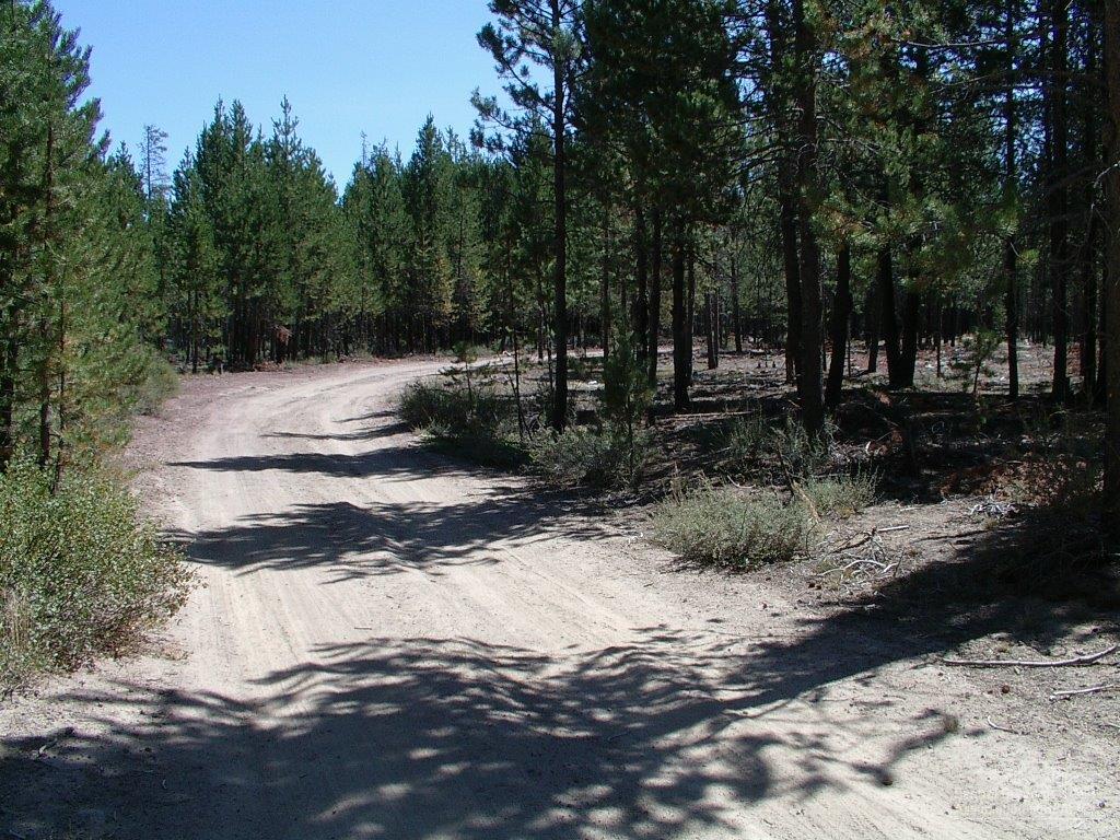 0Lot 300, Crescent, OR 97733