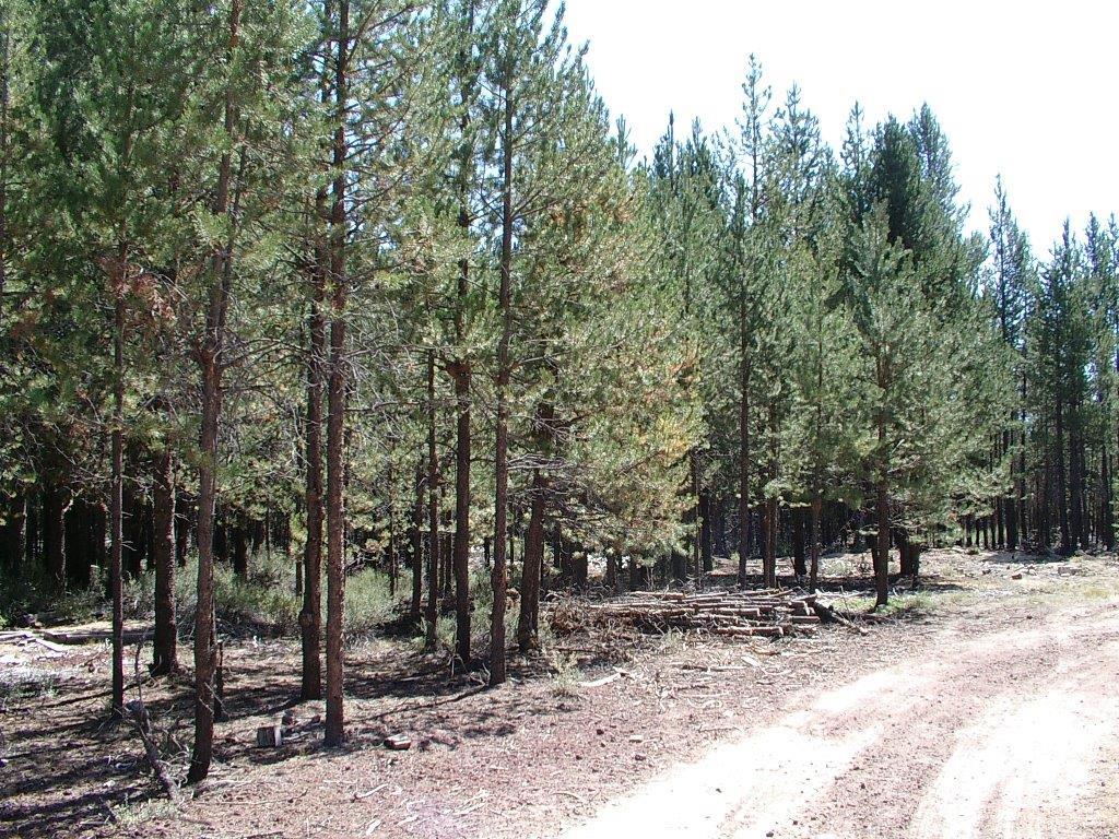 0Lot 300, Crescent, OR 97733