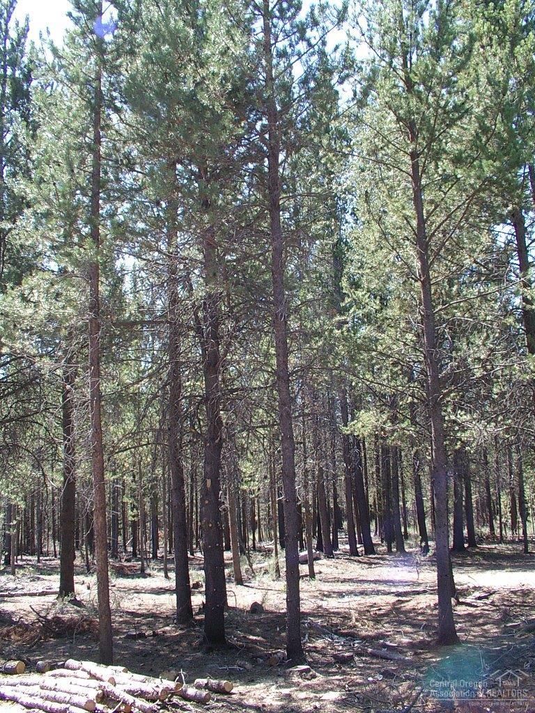 0Lot 300, Crescent, OR 97733