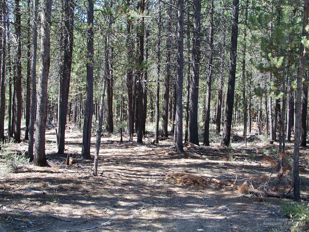 0Lot 300, Crescent, OR 97733