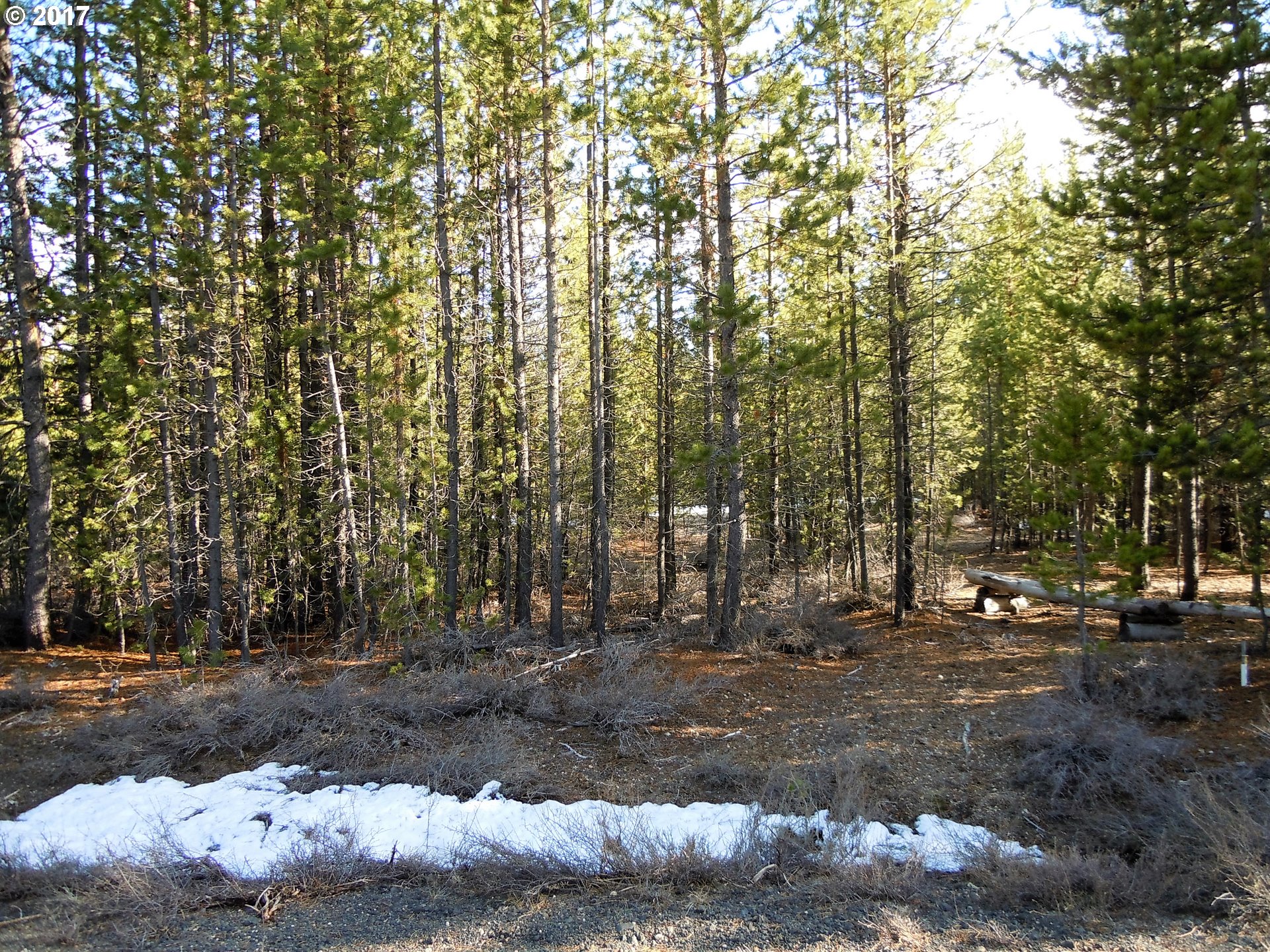 Tipsoo Ct, Crescent Lake, OR 97733