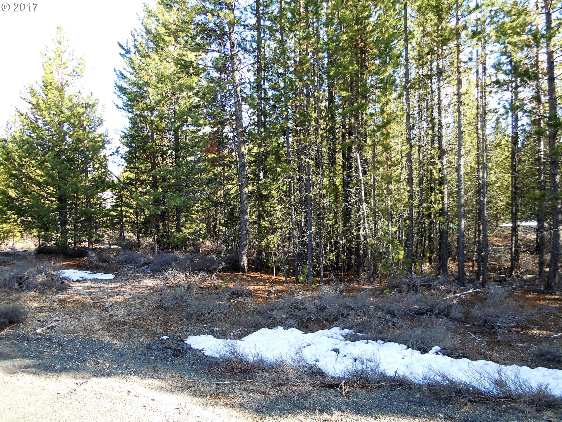 Tipsoo Ct, Crescent Lake, OR 97733