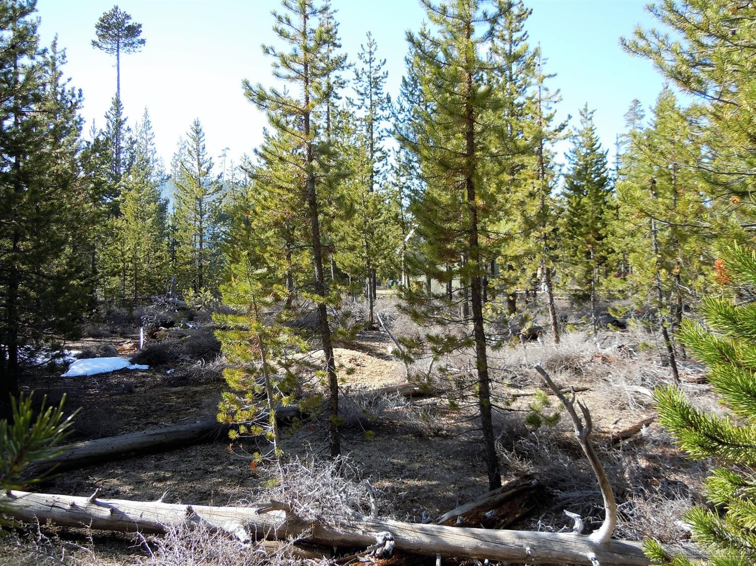 19Tipsoo Ct., Crescent Lake, OR 97733