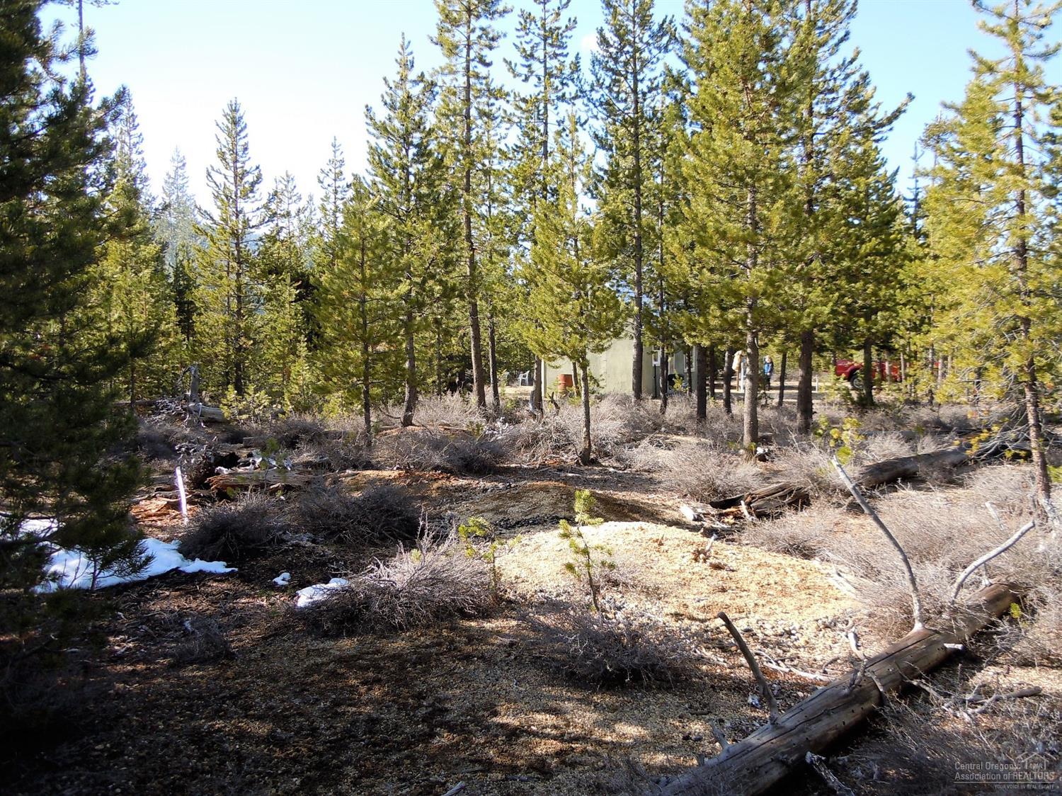 19Tipsoo Ct., Crescent Lake, OR 97733