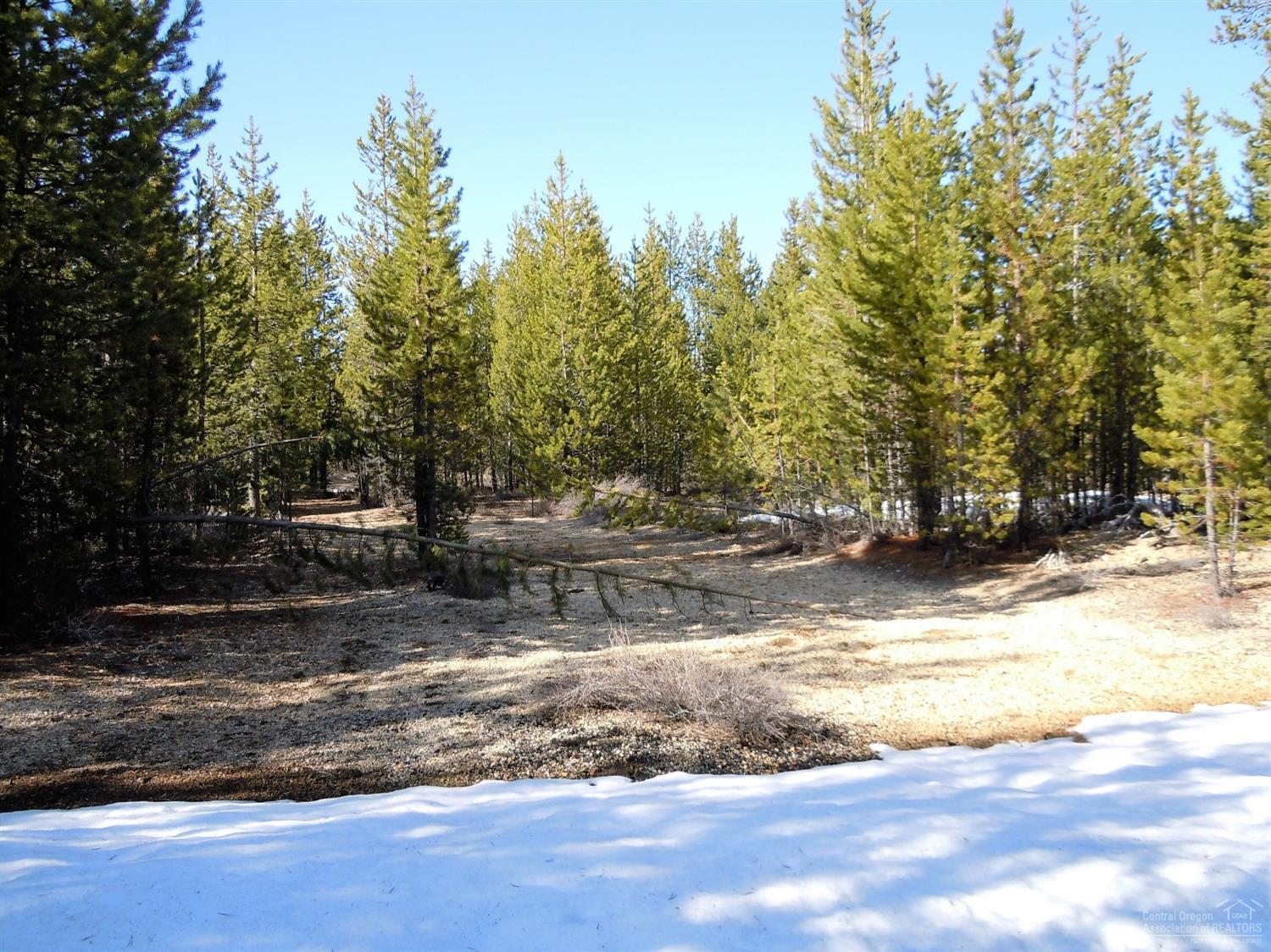 19Tipsoo Ct., Crescent Lake, OR 97733