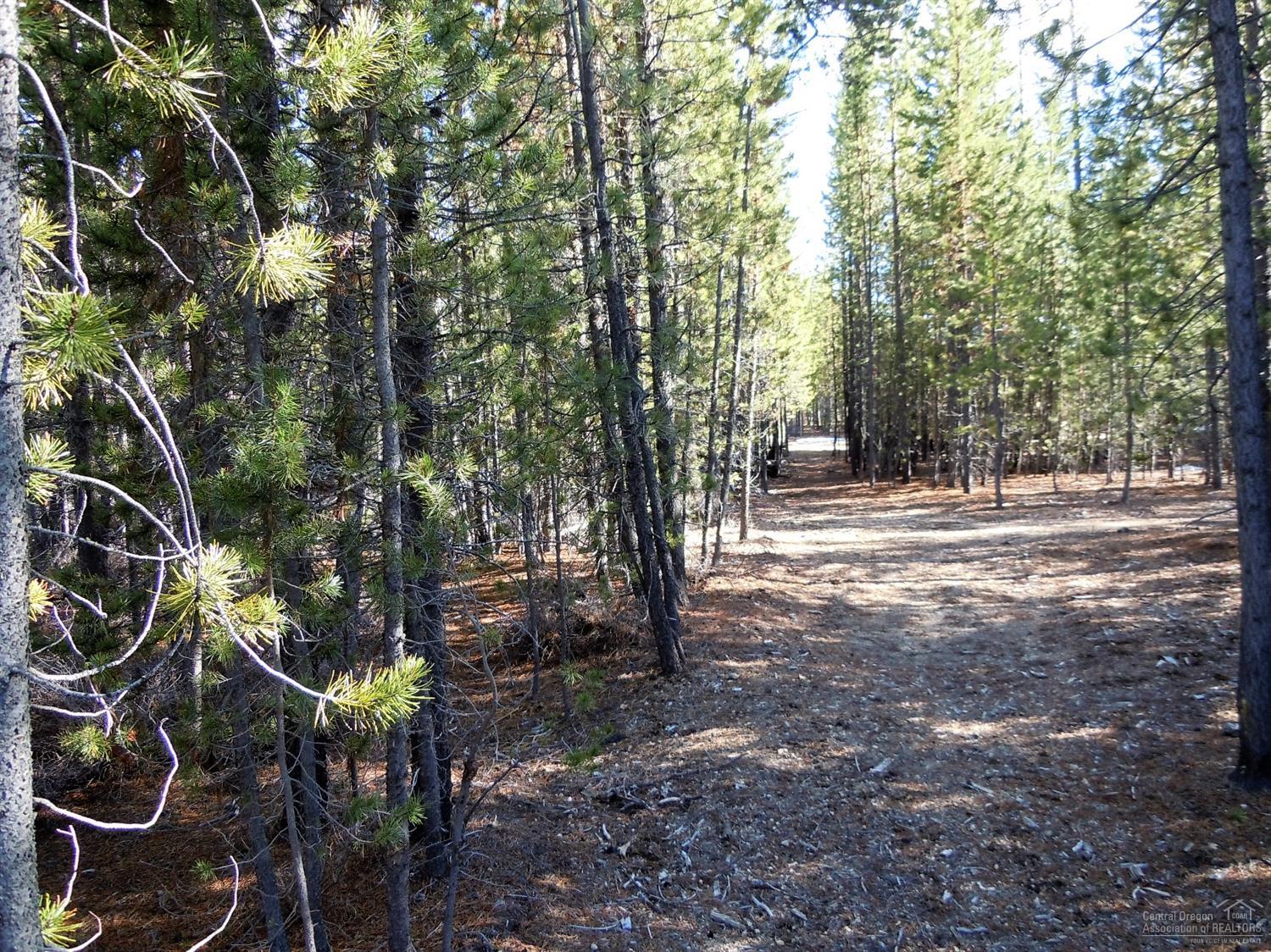 19Tipsoo Ct., Crescent Lake, OR 97733