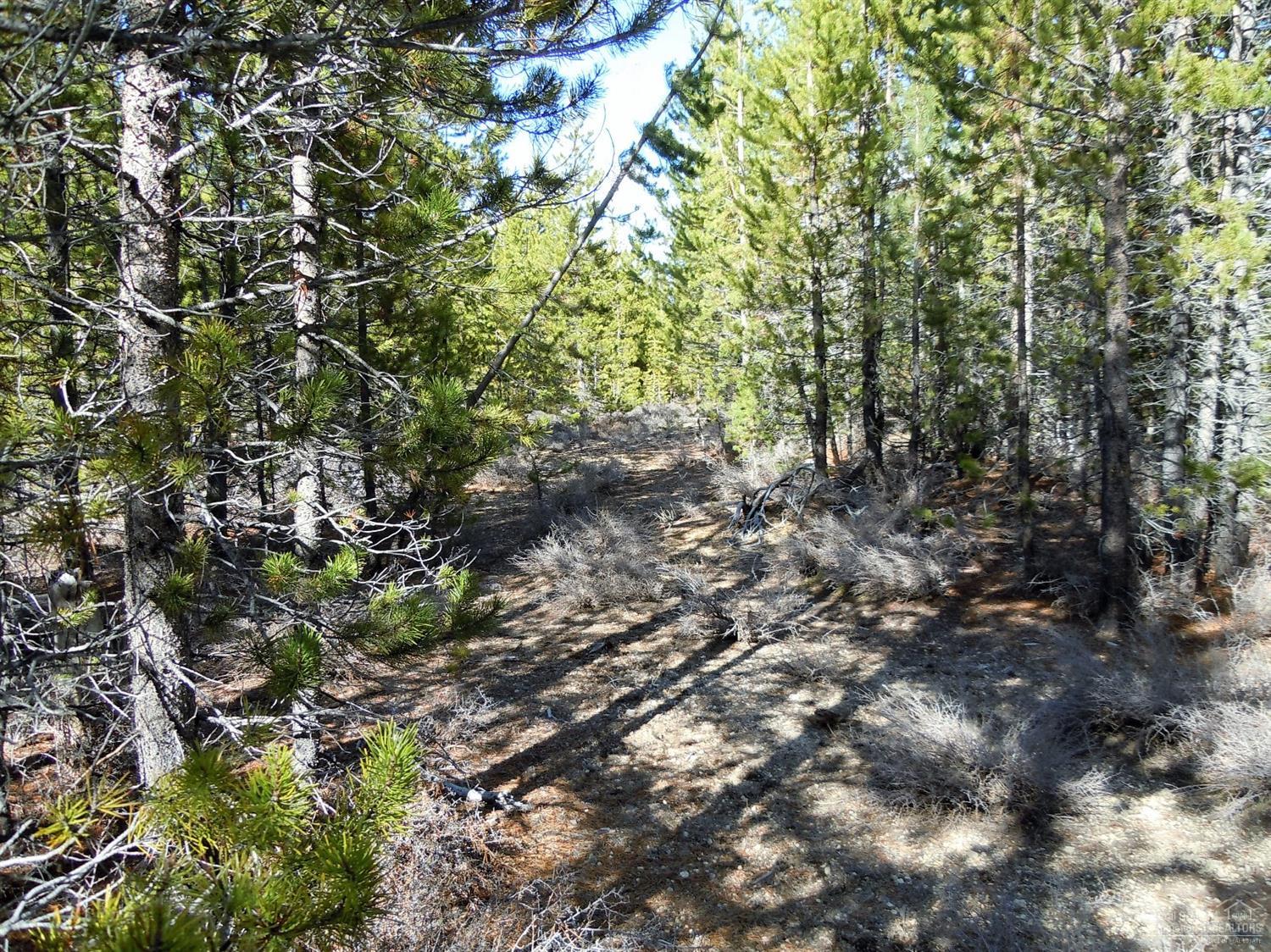 19Tipsoo Ct., Crescent Lake, OR 97733