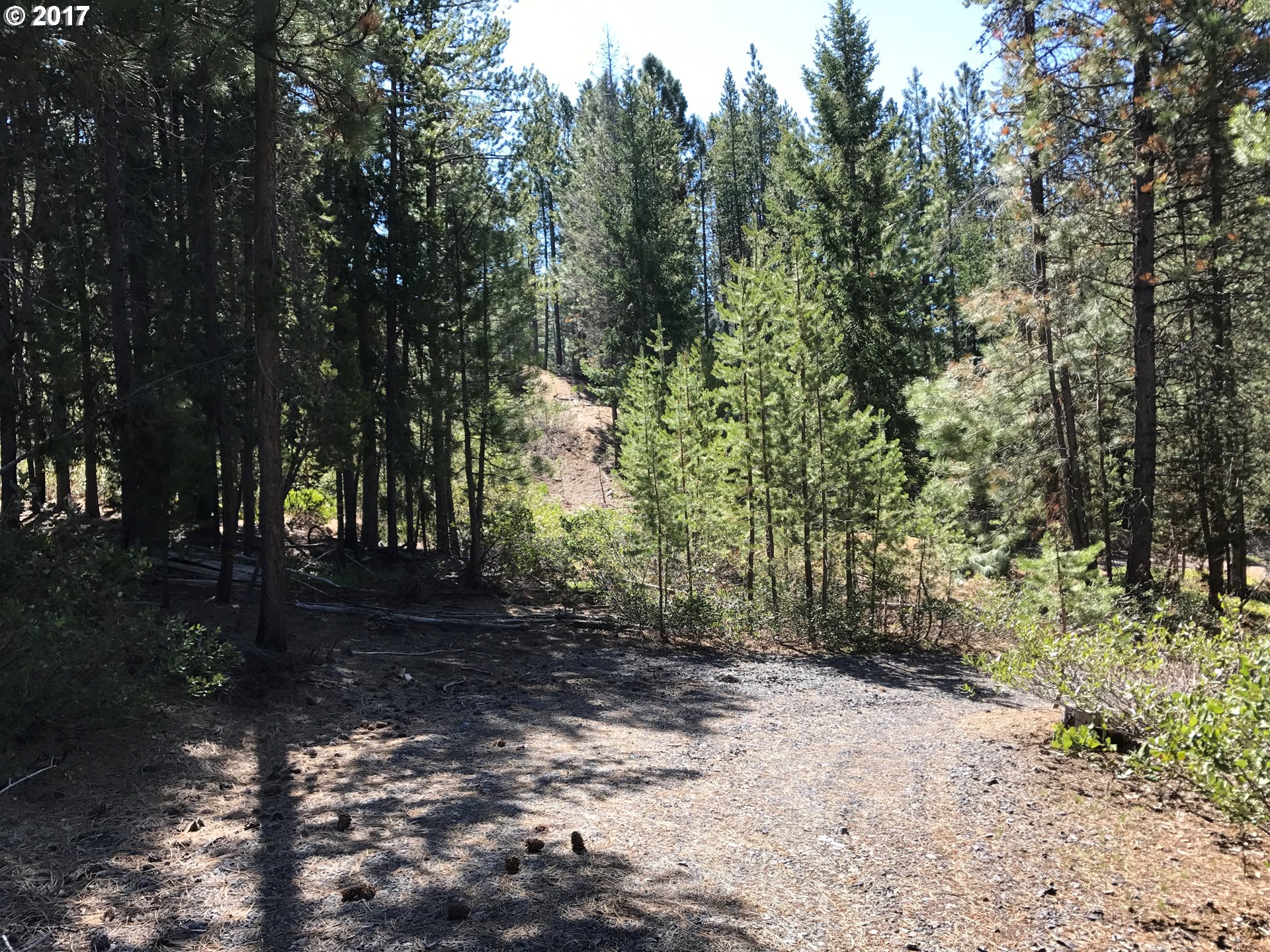 Red Cone DR, Crescent Lake, OR 97733