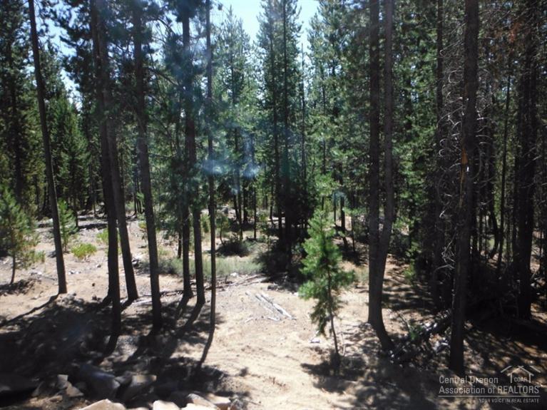 14Crescent Moon Drive, Crescent Lake, OR 97733