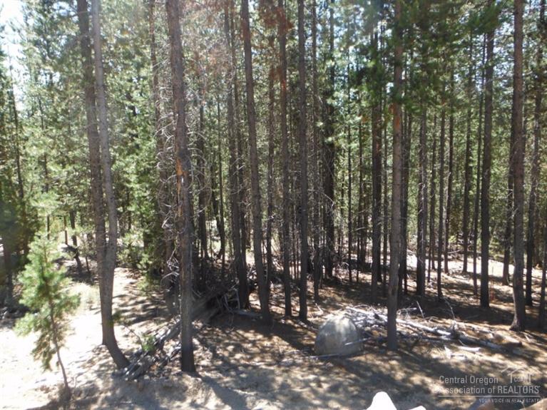 14Crescent Moon Drive, Crescent Lake, OR 97733
