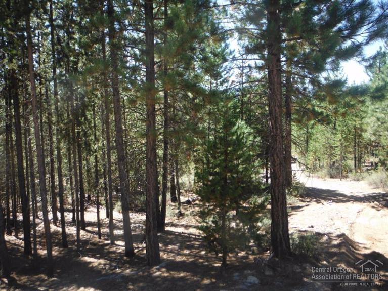14Crescent Moon Drive, Crescent Lake, OR 97733