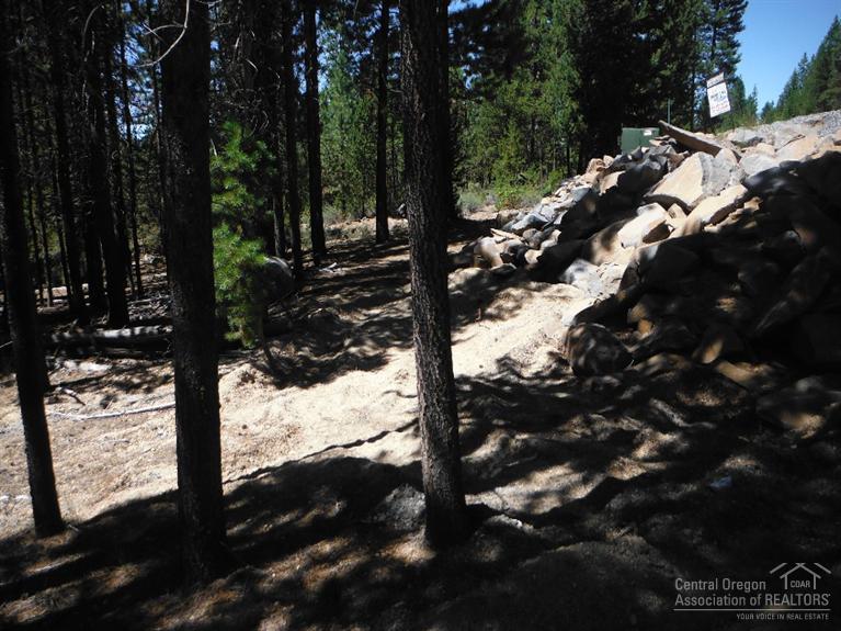 14Crescent Moon Drive, Crescent Lake, OR 97733