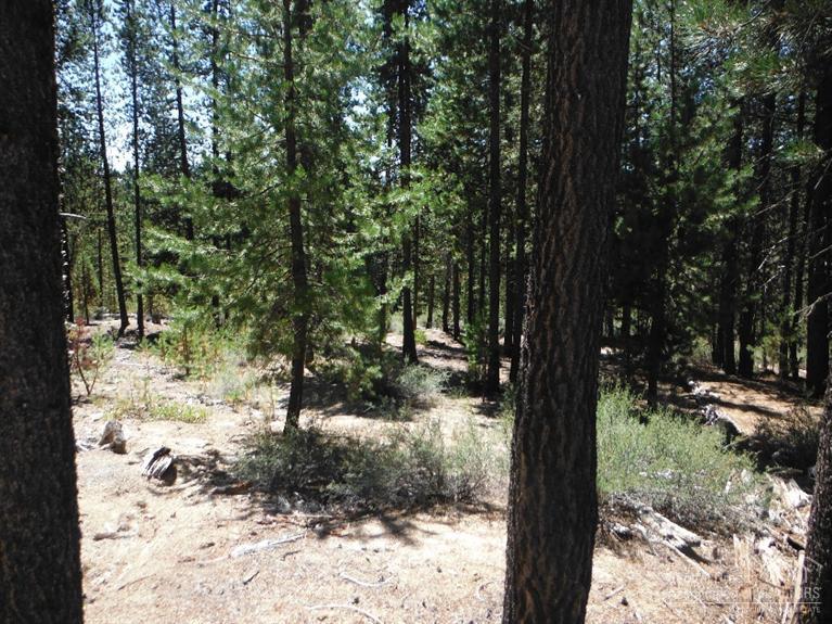 14Crescent Moon Drive, Crescent Lake, OR 97733