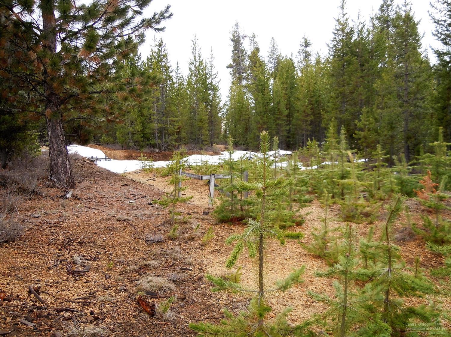 6Bunny Butte, Crescent Lake, OR 97733