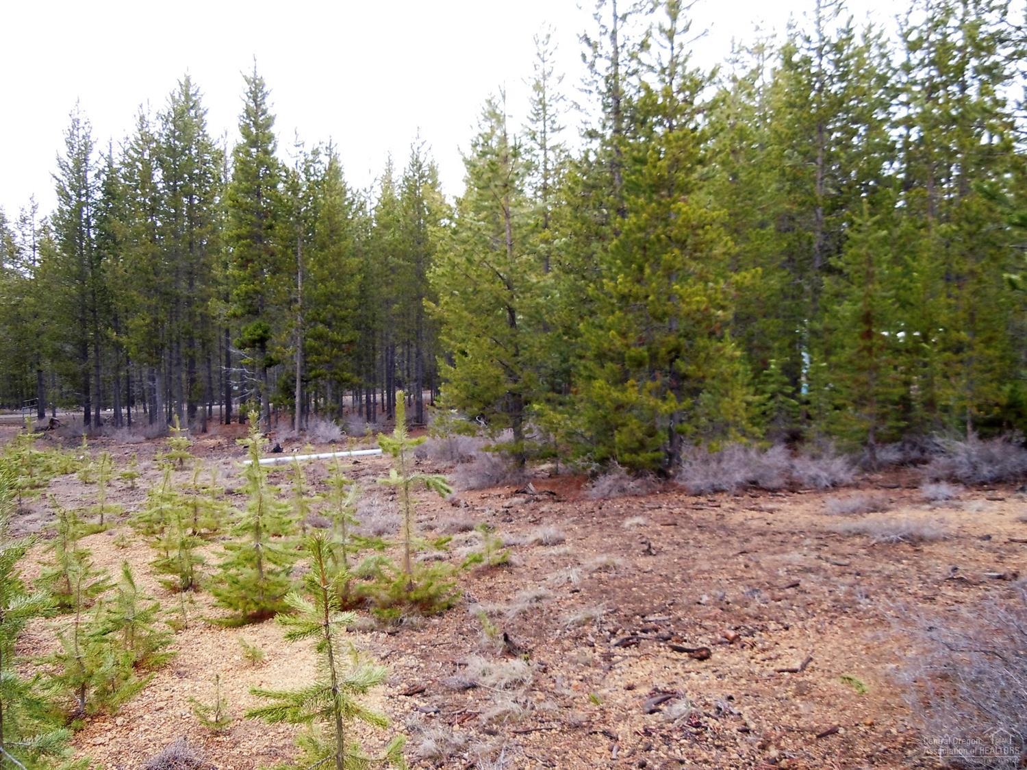 6Bunny Butte, Crescent Lake, OR 97733