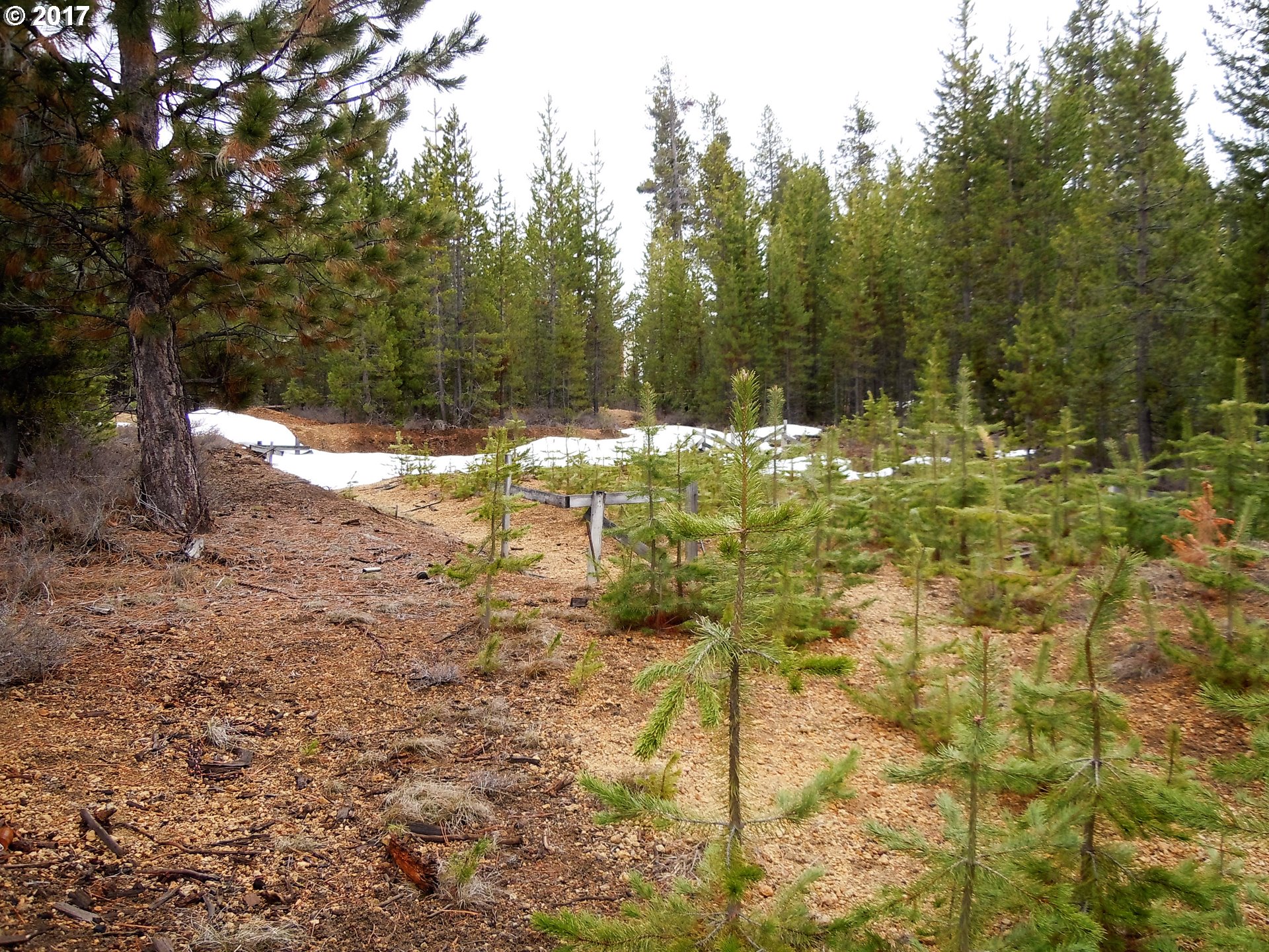 Bunny Butte, Crescent Lake, OR 97733